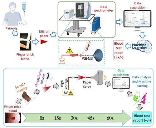Point-of-Care Diagnostics Using Ambient Mass Spectrometry